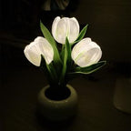 Tulip Lamp – LED Flower Table Lamp with Vase | USB Powered Ambient Light