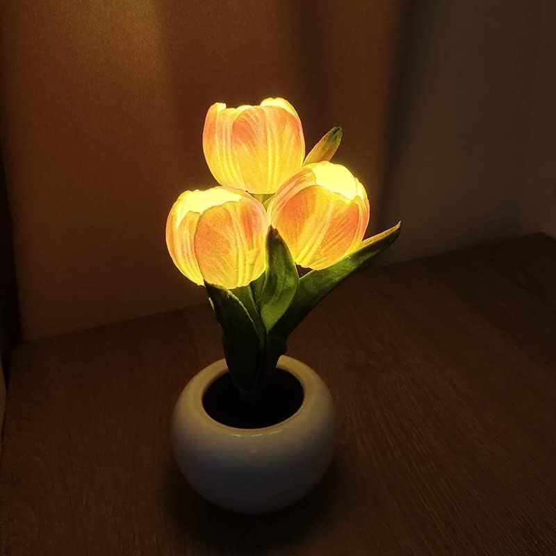 562822301